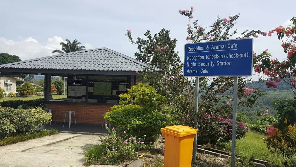Lush Tea Plantations