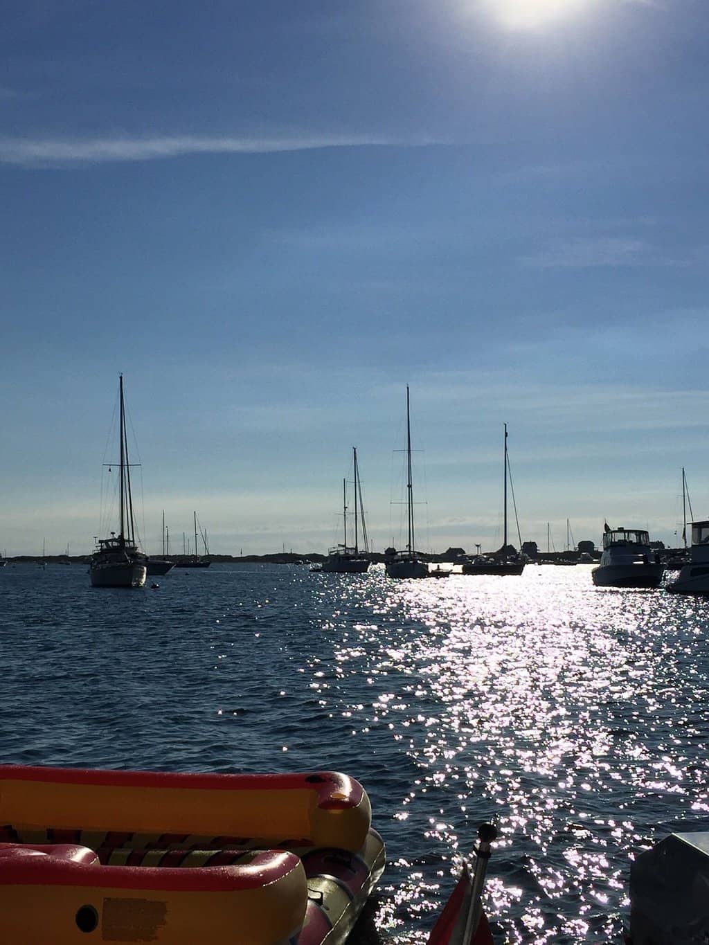 Birdwatching Paradise