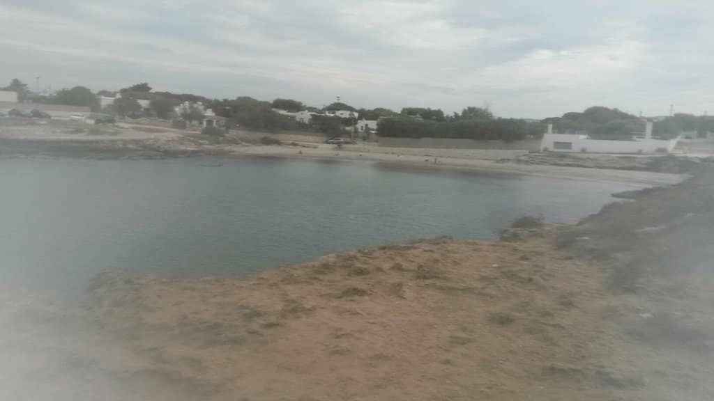 Peaceful Beach Vibes