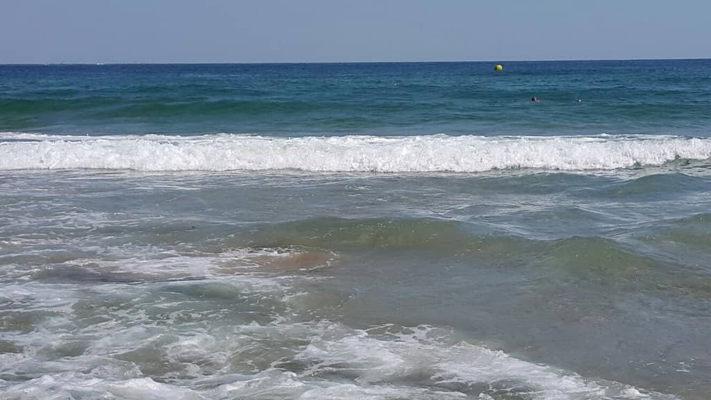 FTD Beach Bar Experience