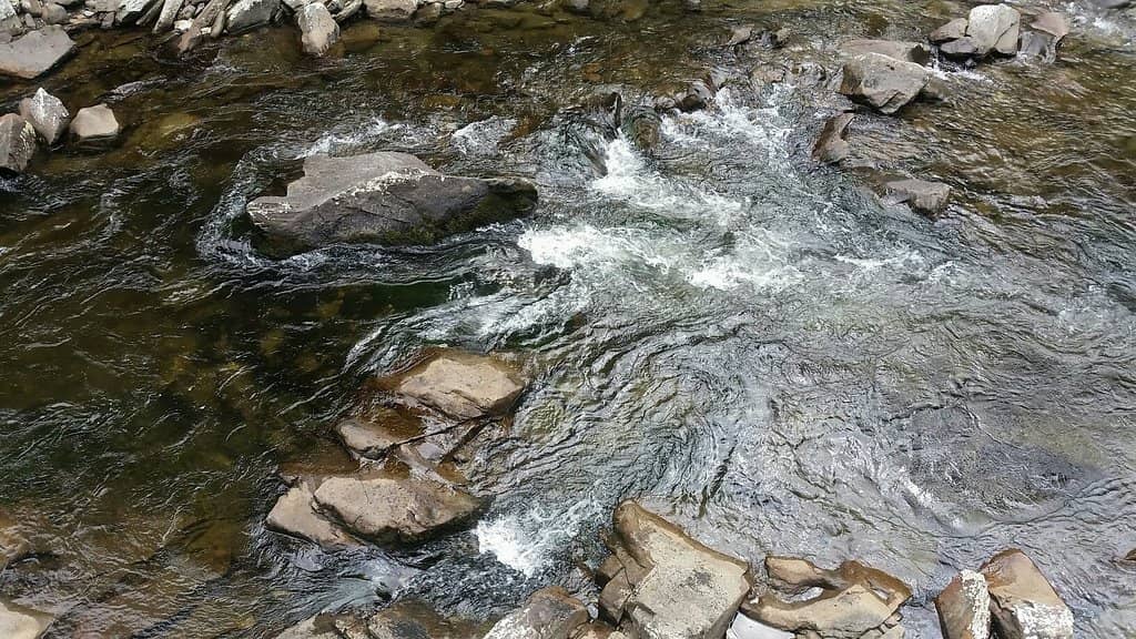 The Chimney Tops Trail