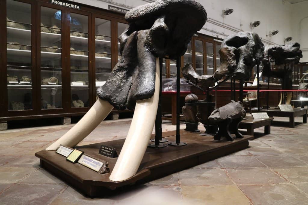 Indigenous Crafts and Artwork