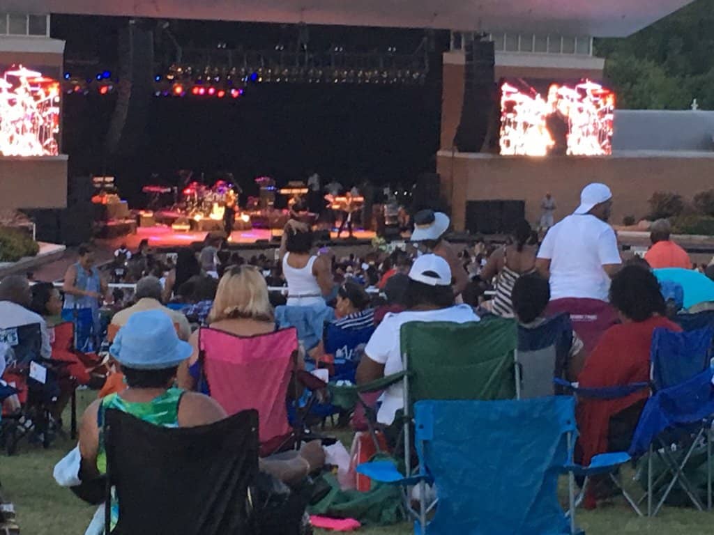 Live Concerts & Festivals