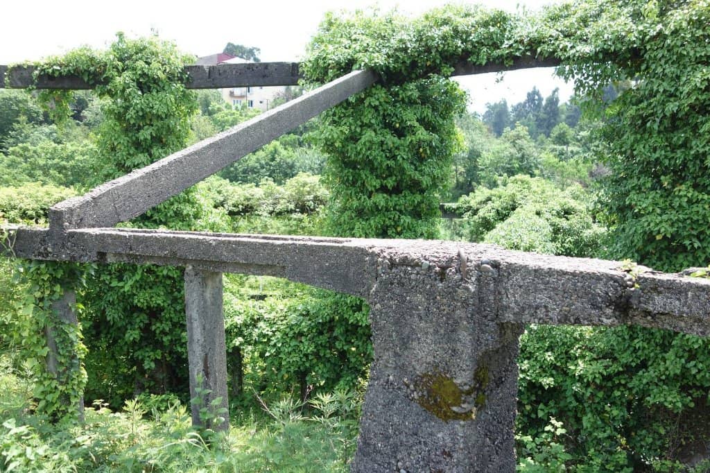 Lush Greenery and Pathways