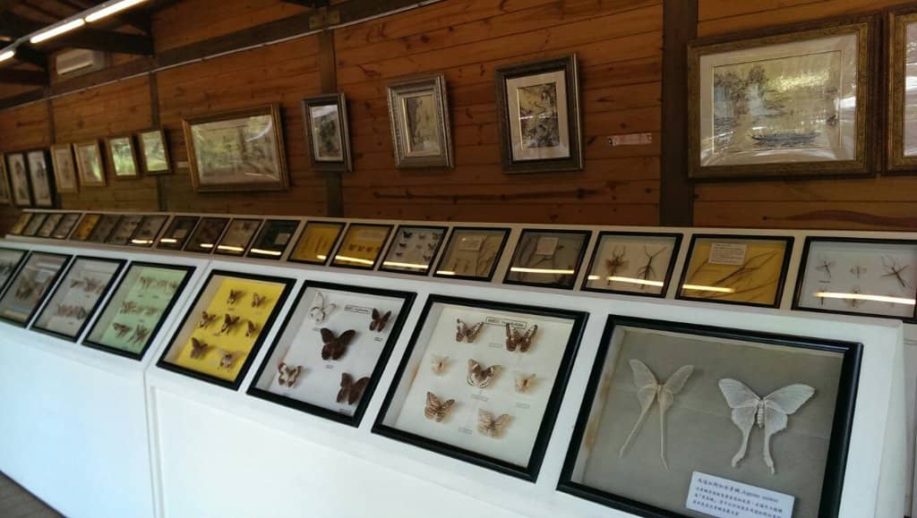 Butterfly Valley Trails