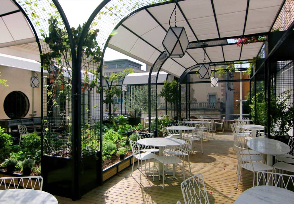 Refreshing Smoothies