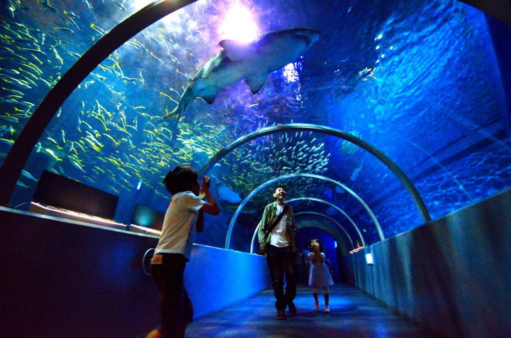 Interactive Touch Pools