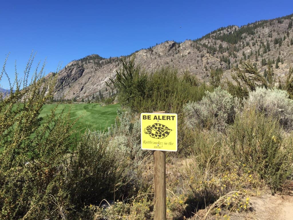 Challenging 9-Hole Layout