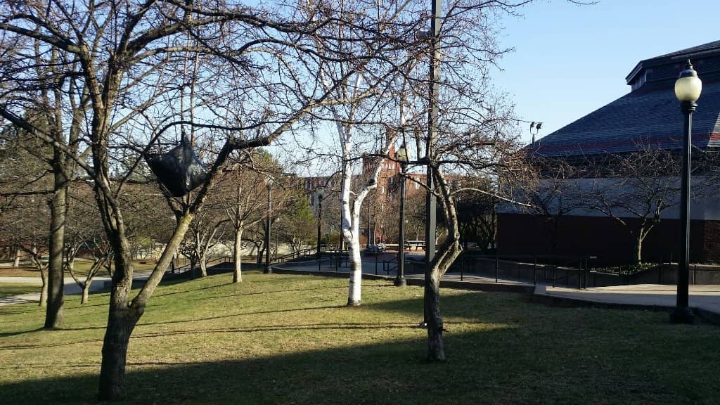 Volleyball Hall of Fame