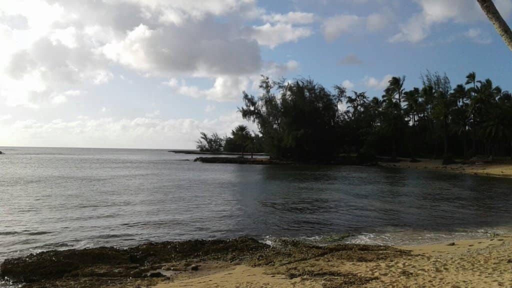 Beginner-Friendly Surf Breaks