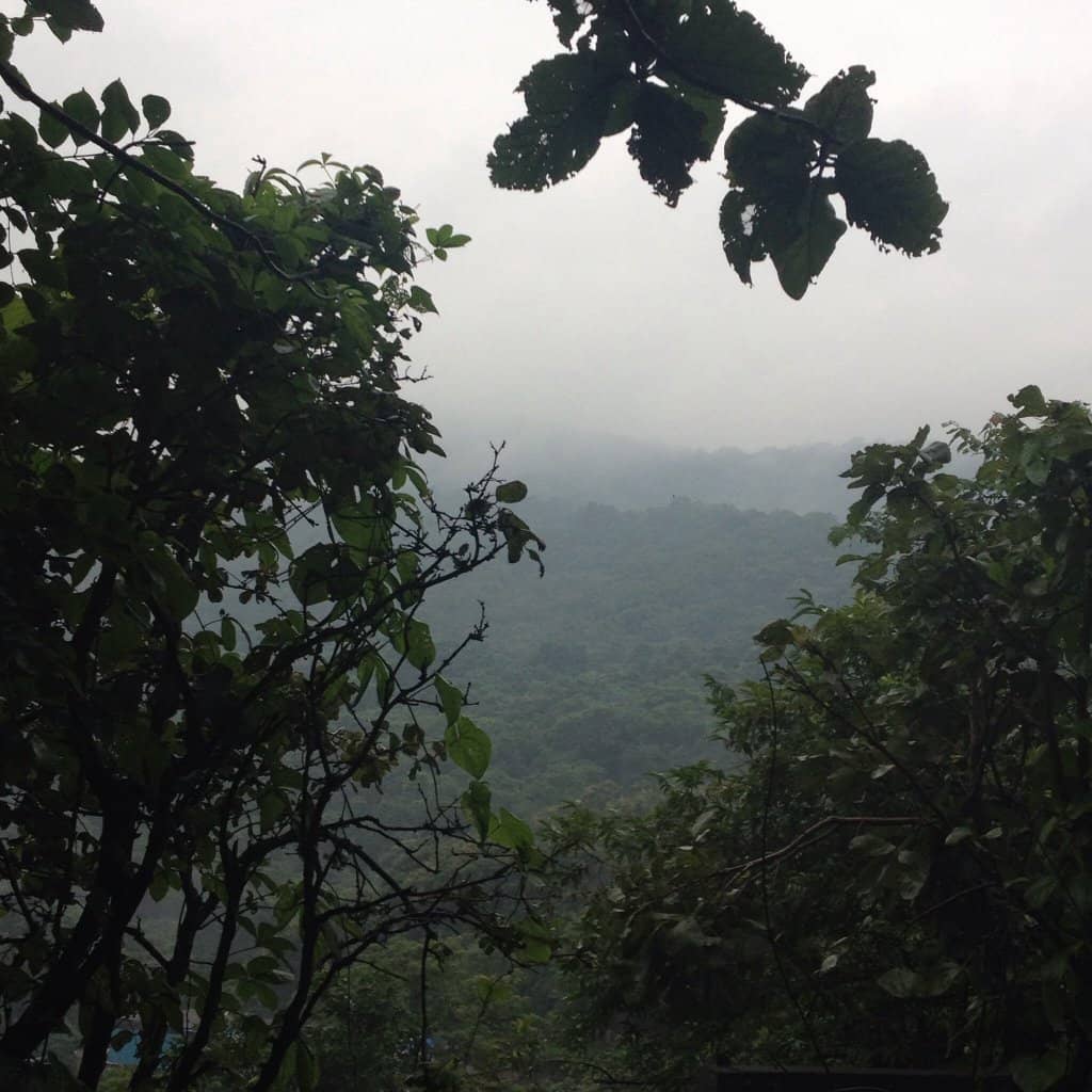 Tiger Hill Top Views