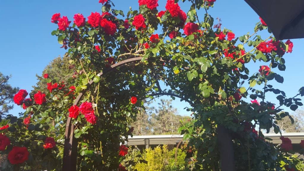 Home Decor & Gift Boutique