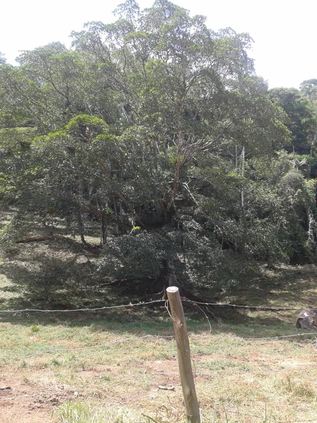 Historic Architecture