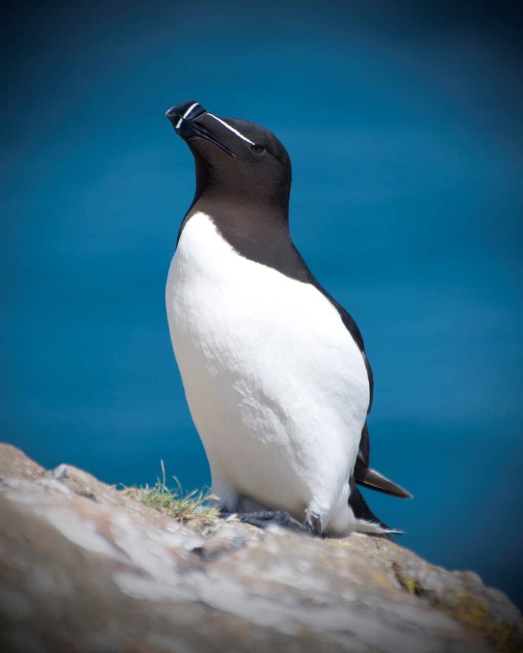 Dramatic Cliff-Edge Views