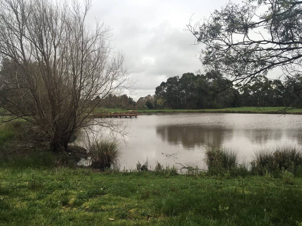 Lake and Walking Trails