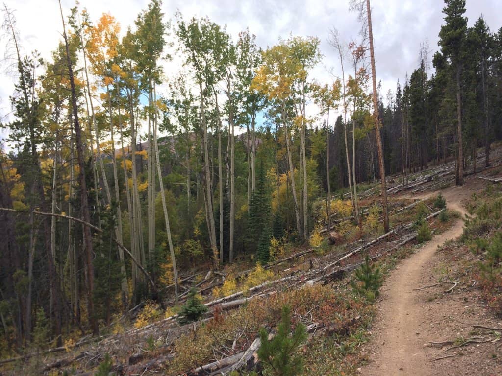 Fall Foliage Drives