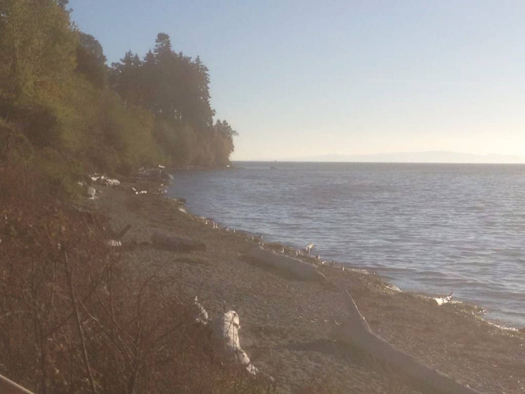 Doris the Disco Duck