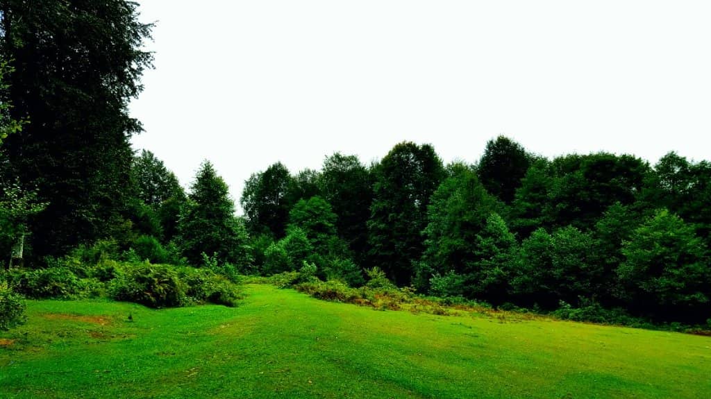 Panoramic Mountain Views