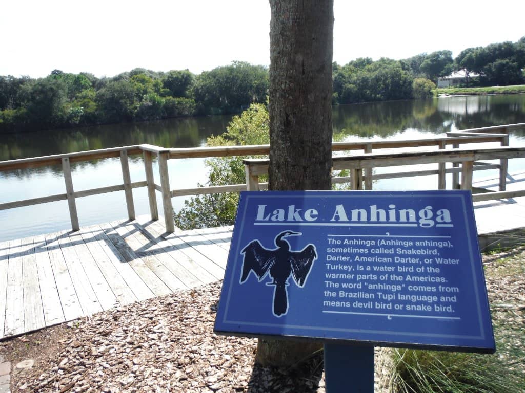 Anhinga Lake Wildlife
