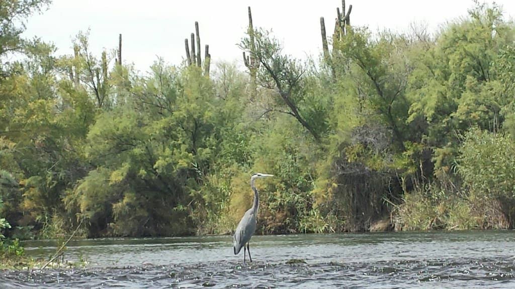 Refreshing River Float