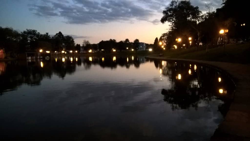 Vibrant Food Truck Scene