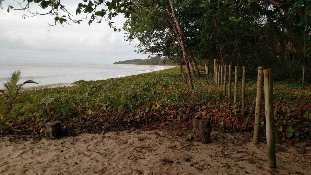 River Mouth Serenity