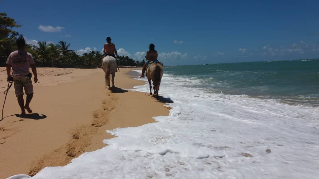 Secluded Beach Bliss