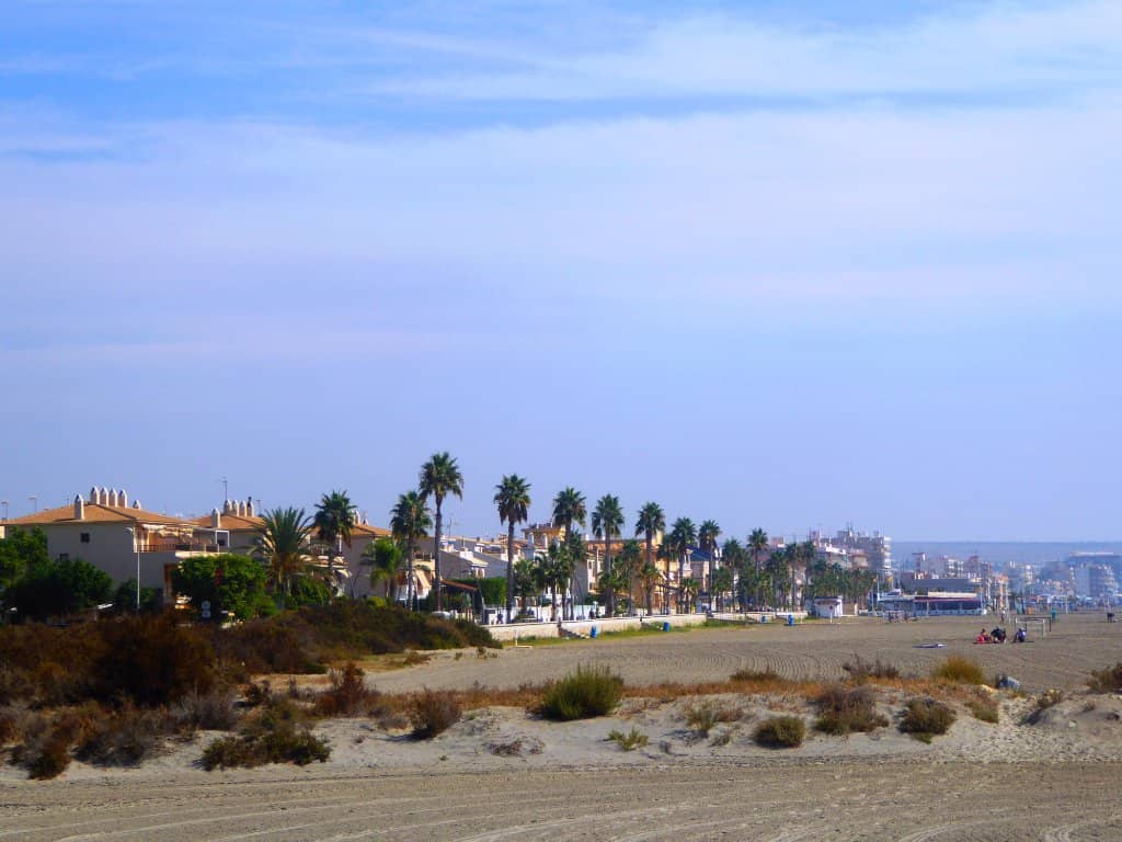 Dog-Friendly Coastal Walk