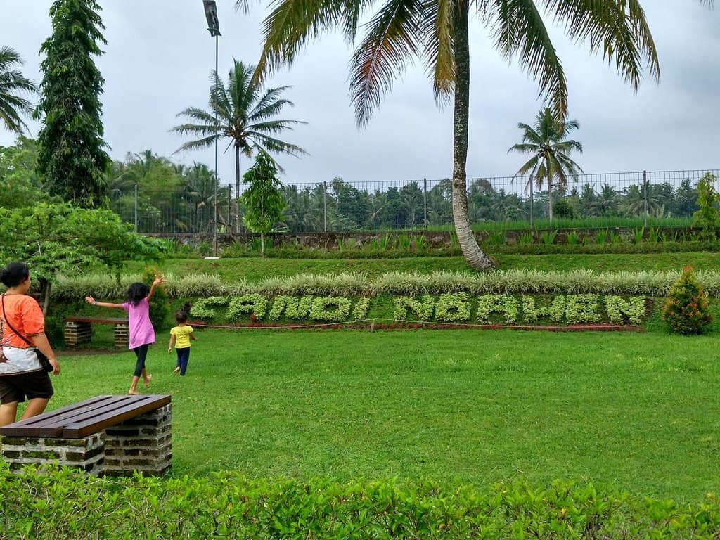 The Four Winged Lions