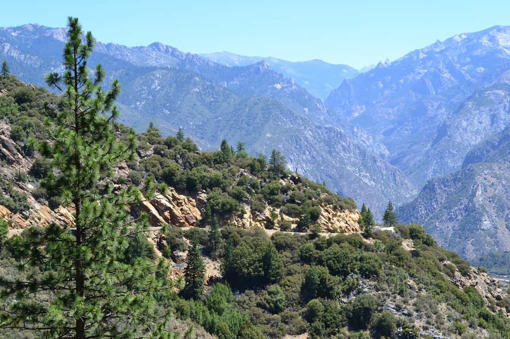 Kings Canyon Scenic Byway