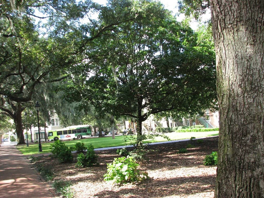 Sunrise/Sunset Serenity