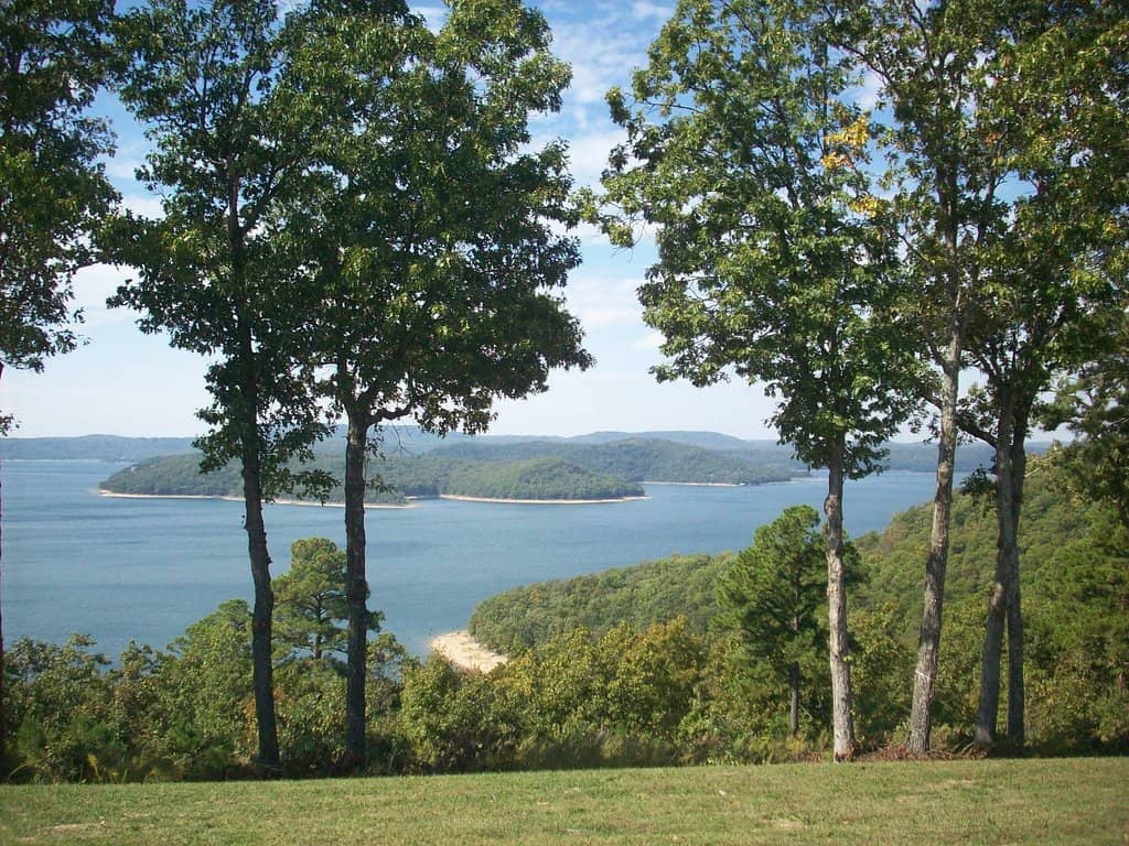 Family Fun & Petting Zoo