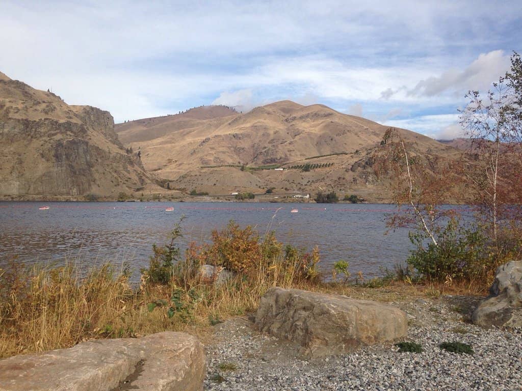 Rocky Reach Reservoir Swimming