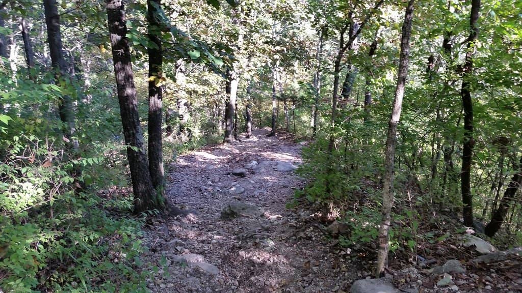 Lone Wolf Trail Overlook