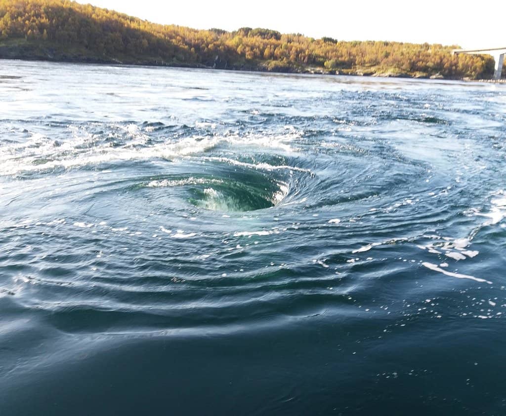 Shoreline Exploration