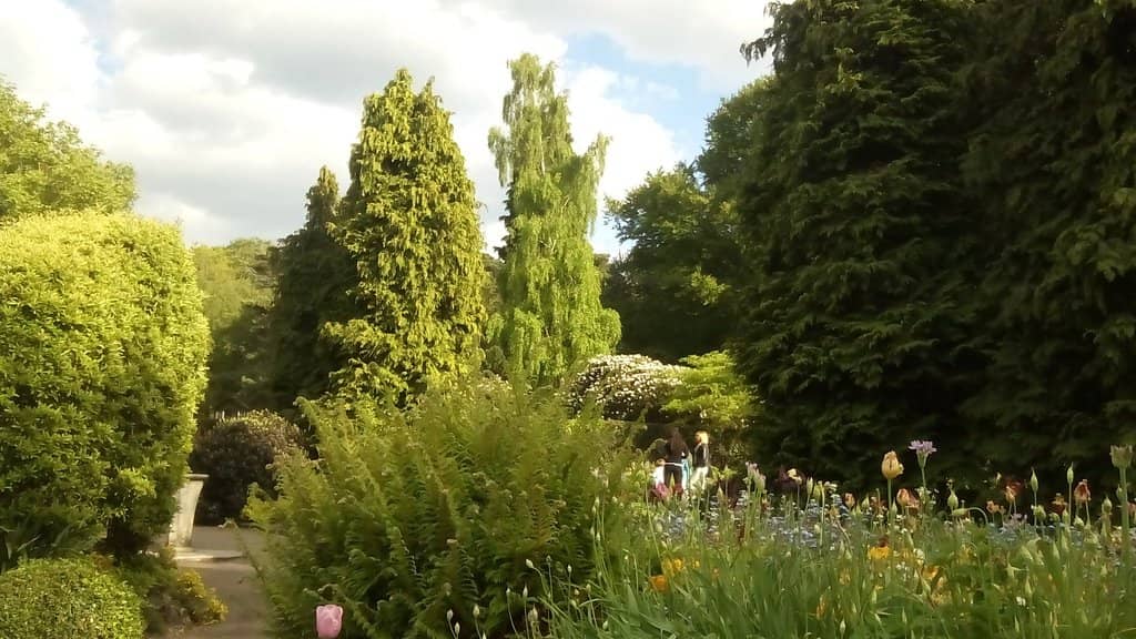 The Pond and Wildlife