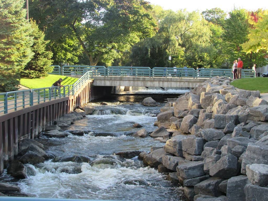 Dark Humor & Indie Animation