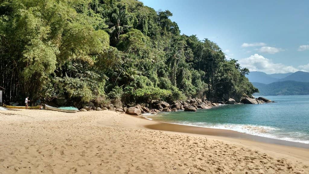 Delicious Shrimp Pastels