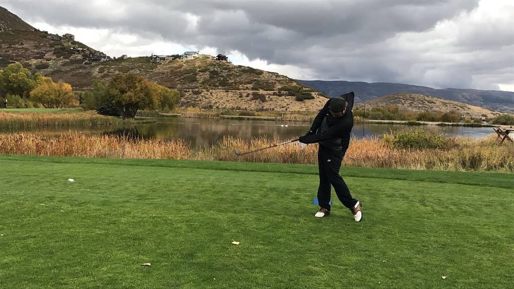 Abundant Wildlife Sightings