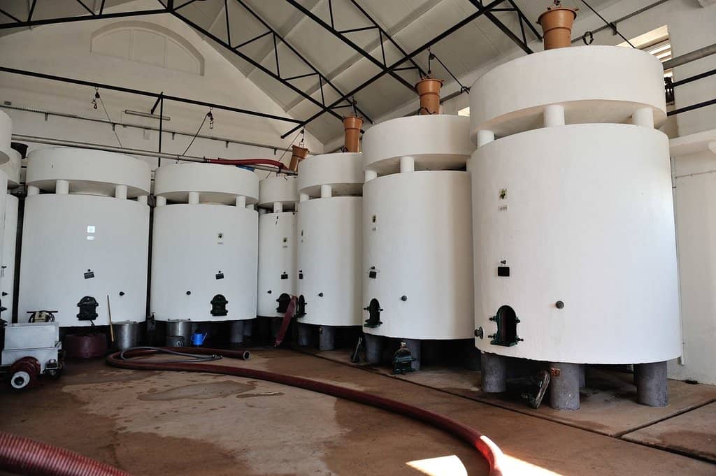 Scenic Arrábida Views