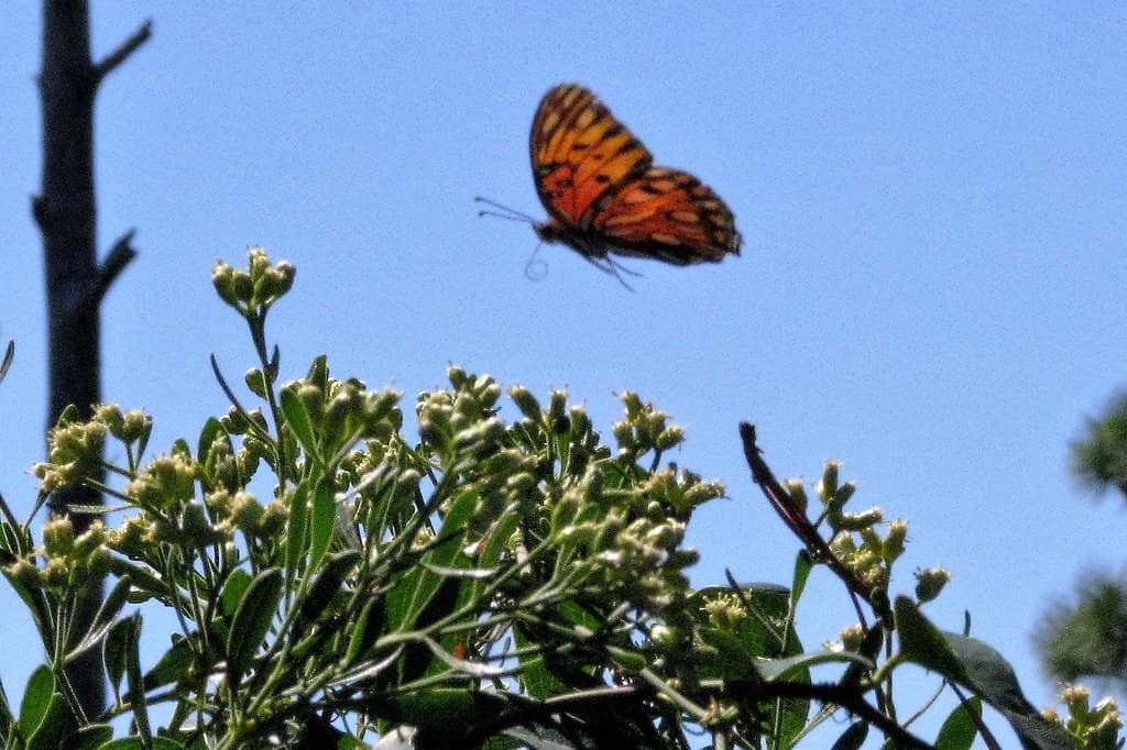 Boating & Water Activities