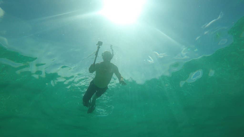 Abundant Marine Life