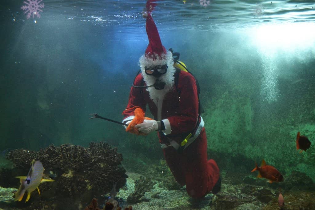 Historical Vannes Old Town