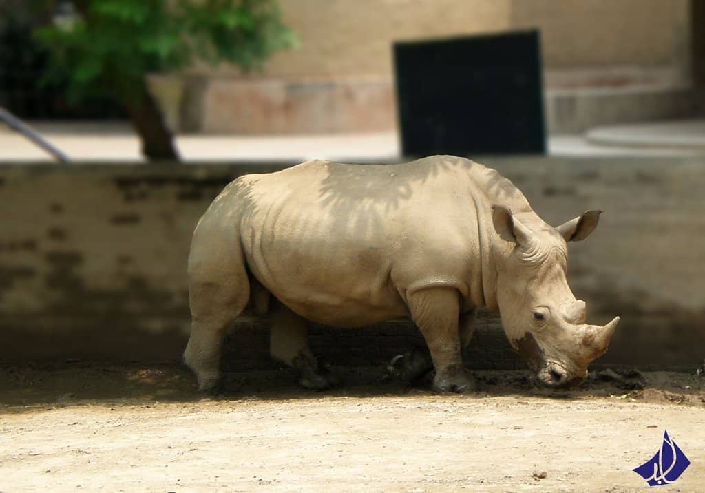 Aquarium and Snake House