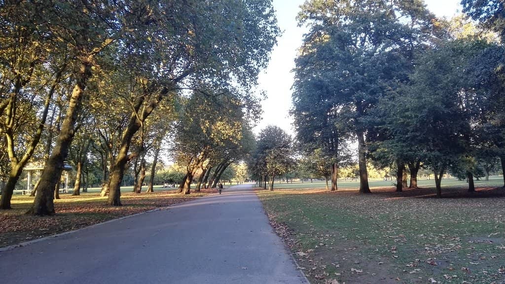 Peaceful Lawns and Paths