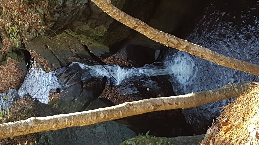 Birdwatching Paradise