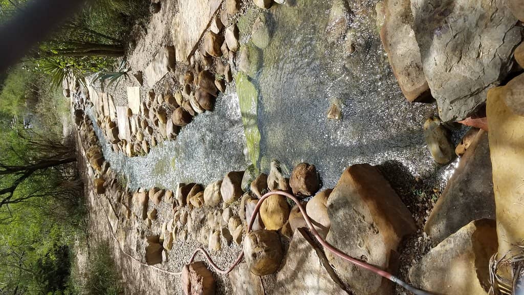 World Birding Center Trails