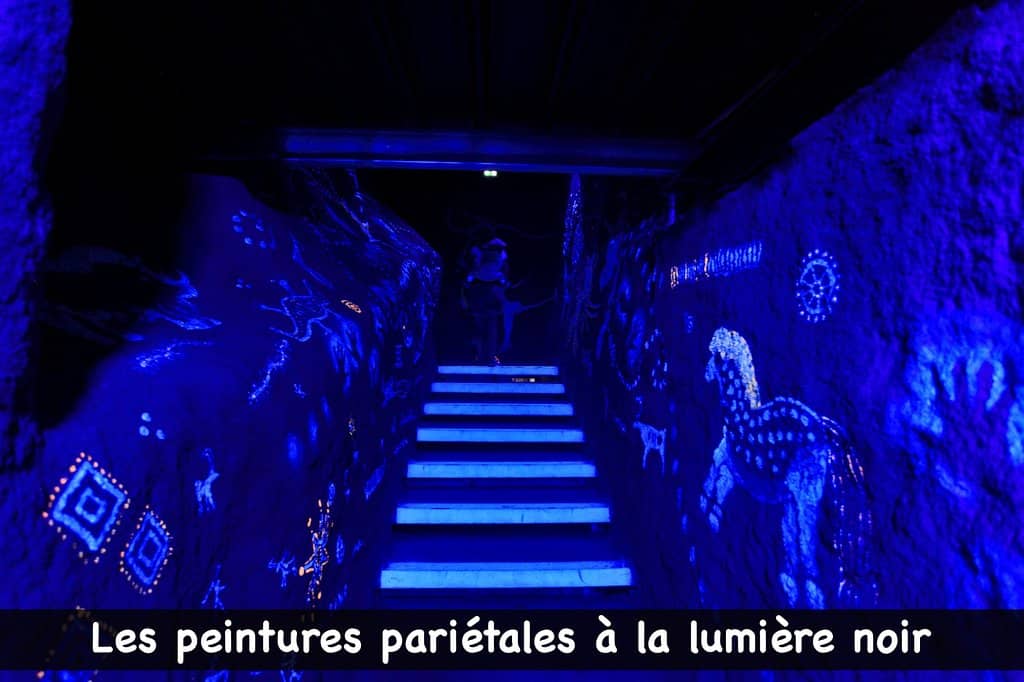 Prehistoric Animal Replicas