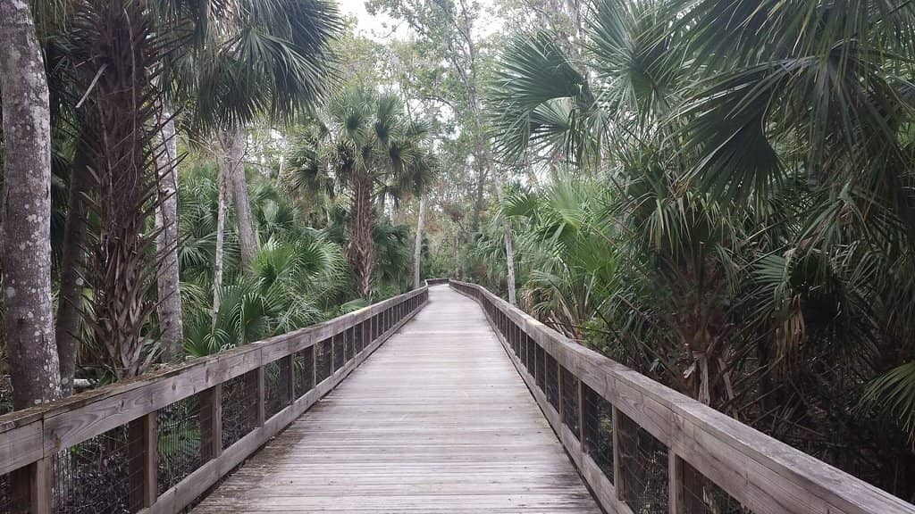 Technical Features Galore