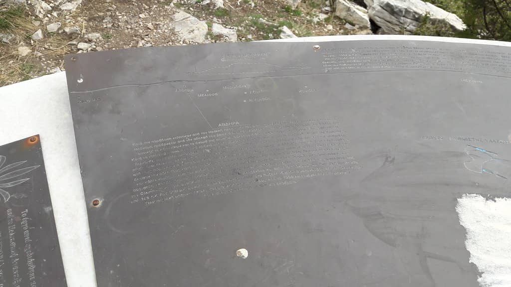 Flamingo and Pelican Spectacle